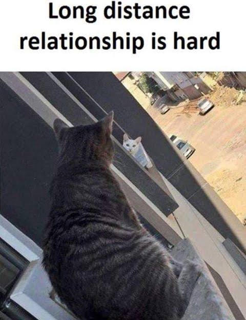 long distance relationship meme