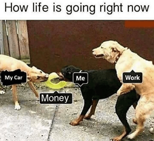 how-life-is-going-right-now-ме-work-my-car-65103817.png