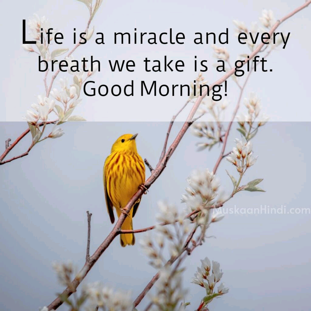 Morning-Life-Quotes-1024x1024.png