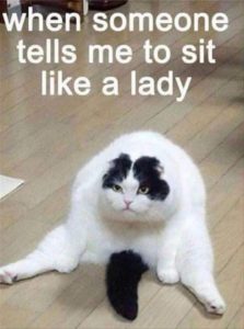 sit-like-a-lady-223x300.jpg