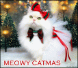 Cat+GIF+%E2%80%A2+%27MEOWY+CATMAS+2020%27+to+all+kitties+and+cat+lovers+all+over+the+World%21+...gif