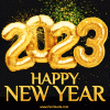 happy new year 2023 gif.gif