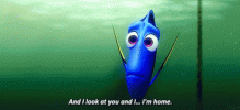 finding-dory-look-at-you.gif