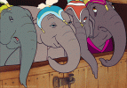 Elephants giphy.gif