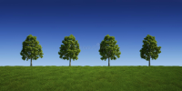 trees-row-9360680.png