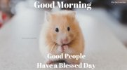 Nice-Good-Morning-meme-for-him-with-cute-mouse-images.jpg