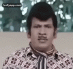 epdi-samalikalam-vadivelu.gif