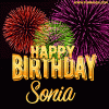 sonia-3.gif