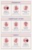 types-of-love-9-combination-720x1141 (1).jpg