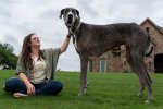 brittany-sitting-outside-and-petting-zeus-as-he-stands-by-her-side_tcm25-702495.jpg