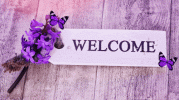 Background-Welcome-GIF-min.gif