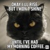 Okay-Ill-rise-But-I-wont-shine-until-Ive-had-my-morning-coffee (1).jpg