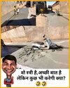 hindi_very_funny_jokes_dv-20230414-0001.jpg