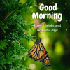 good-morning-images-for-whatsapp-friends1-e1650539466756.png