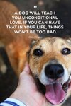 dog-quotes-psdunconditional-1550865731.jpg