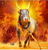 desktop-wallpaper-ezhil-m-jallikattu-kaalai.jpg