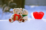 two-teddy-bears-in-a-winter-day.jpg