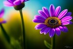 purple-flower-with-blue-center-yellow-center_1340-25666.jpg