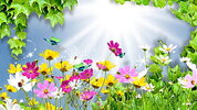 desktop-wallpaper-bright-flowers-thumbnail.jpg