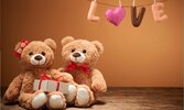 1334972-teddy-bear.jpg