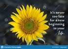 motivational-quote-never-too-late-new-beginning-your-life-hope-inspirational-words-concept-sun...jpg