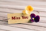 tag-banner-miss-you-violet-flower-wooden-desk-miss-you-tag-115046689.jpg