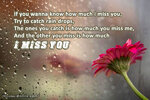 2110887663-how-much-i-miss-you.jpg