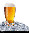 chilled-glass-of-light-beer-in-ice-cubes-file-contains-clipping-path-T65WBJ.jpg