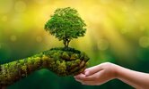 environment-earth-day-hands-trees-growing-seedlings-bokeh-green-background-female-hand-holding...jpg