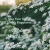 Best-Good-Morning-wish-with-tiny-flowers-1024x1024.jpg