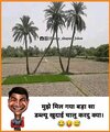 funny_shayari_jokes-20230724-0001.jpg