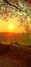 Nature-Autumn-Sunrise-iphone-11-pro.jpg