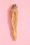 ugly-carrot-pink-background-concept-ugly-vegetables-carrots-look-like-vagina-ugly-carrot-pink-...jpg