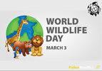 World-Wildlife-Day-Theme-Quotes-Poster-Slogan-Logo-Messages-Symbol-and-Awareness-Program.jpg