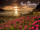 wp2589156-good-morning-hd-wallpaper.jpg