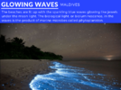 Most-beautiful-natural-phenomenon-Glowing-Waves.png