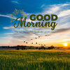 beautiful-good-morning-pictures-for-2023-viraasi_11_600x600.jpg