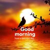 37_Good-morning-images-_-FunyLife.in_-1024x1024.jpg