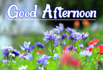 good-afternoon-pictures-c2uqulknocyiobj9.jpg