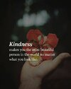 Kindness Quote.jpeg