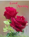 GOODMORNINGQUOTESWITHFLOWERS_7b6ee21_1598245250285_cmprsd_40.jpg