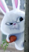 HD-wallpaper-snowball-rabbit-angry-rabbit-anime.jpg