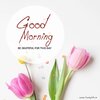 good-morning-wishes-2.jpg