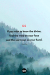 nature-quotes-buddha-1648261967.png