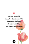 nature-quotes-haruki-murakami-1648261965.png