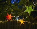 aurora-super-star-tree-lights-0483 (6).jpg