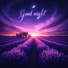 DALL·E-2024-04-29-14.22.50-A-dreamy-and-serene-good-night-image-depicting-a-vast-lavender-fiel...jpg