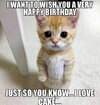 Hilarious Happy Birthday Memes To Brighten Anyone’s Special Day!.jpeg