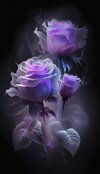 purple-roses-with-leaves-black-background_771703-2958.jpg