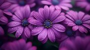 generative-ai-vibrant-purple-flowers-captivating-images-radiant-purple-blooms-showcasing-natur...jpg